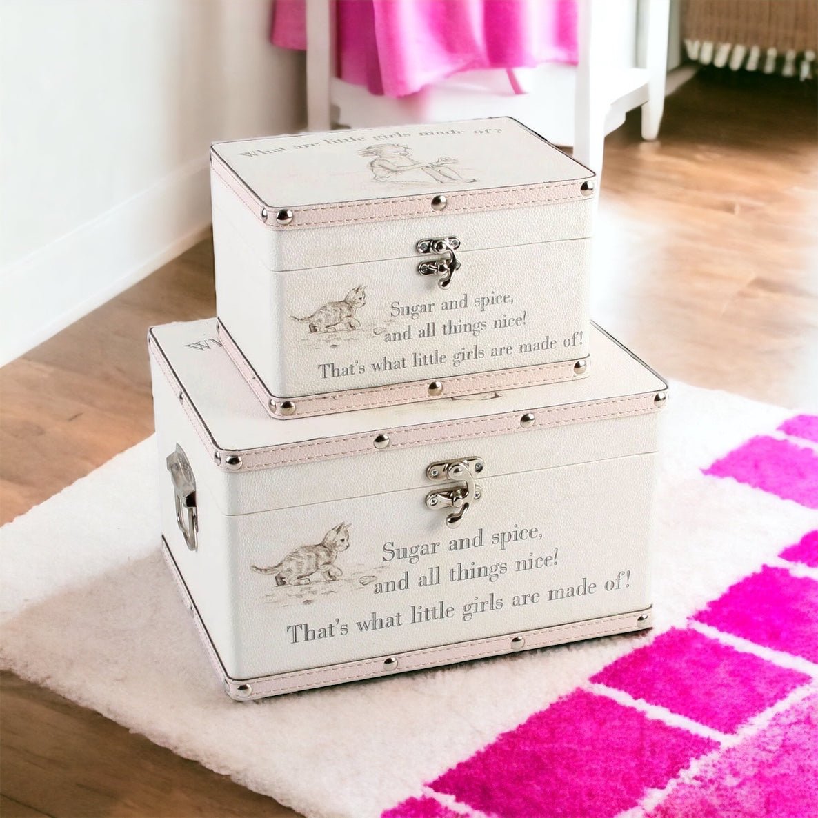 Sugar and Spice Storage Boxes Pink Just Blue Or Pink