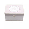 Elephant Luggage Boxes - Just Blue or Pink