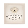 Best Of Breed Plaque - Life Is Better With A Dog