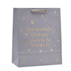 Bambino Baby Boy Gift Bag - Large