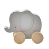 Bambino Wooden Push Toy