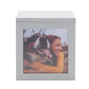 Thoughts Of You Pet Urn Box