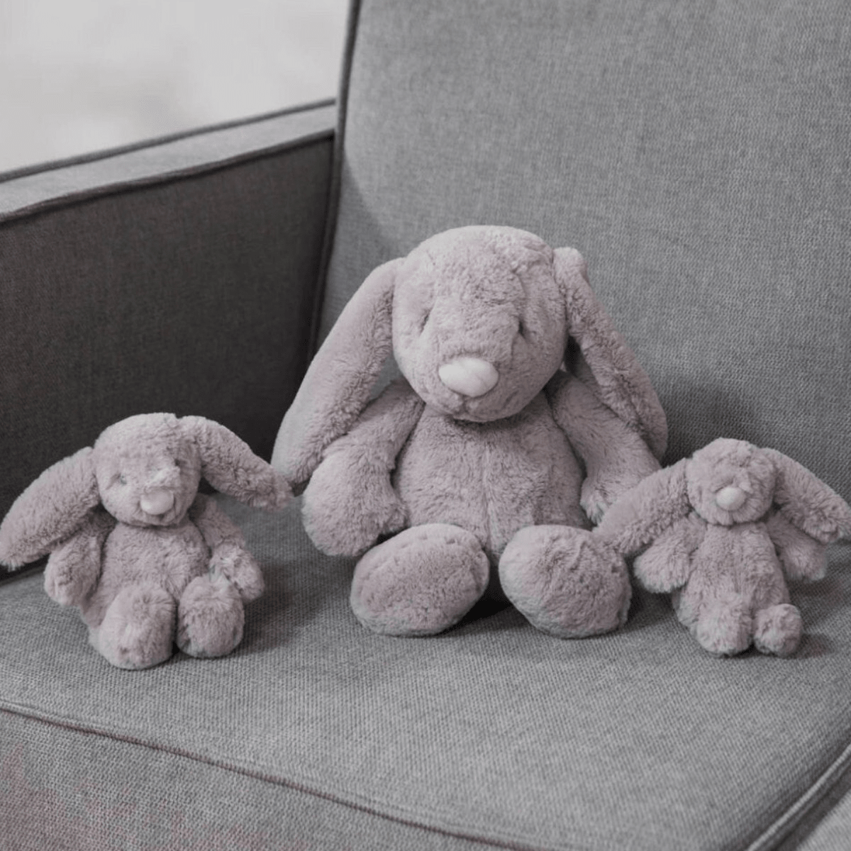 Turtle Rabbit Teddy Teddy Bunny Rabbit Teddy Bear