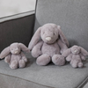 Bunny Rabbit Teddy Bear - Just Blue or Pink
