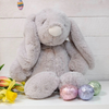 Bunny Rabbit Teddy Bear - Just Blue or Pink