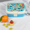 Butterfly Garden Lunch Box with Tray - Just Blue or Pink