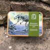 Dinosaur Excavation In A Tin - Just Blue or Pink