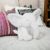 Elephant Teddy - Just Blue or Pink