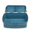 Fairy Garden Lunch Box with Tray - Just Blue or Pink