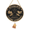 Harry Potter Flying Lesson Alumni Pendent