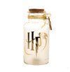 Harry Potter LED Light Up Jar - Harry Potter