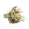 Hestia Dried Floral Bouquet 25cm - Natural - Just Blue or Pink