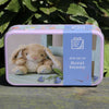 Miniature Bunny In A Tin - Just Blue or Pink