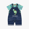 Personalised Dinosaur Dungarees - Just Blue or Pink