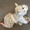 Personalised Giraffe Dressing Gown - Just Blue or Pink