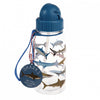 Sharks Kids Water Bottle - Just Blue or Pink