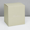 Silver Plated Carousel Money Box - Just Blue or Pink