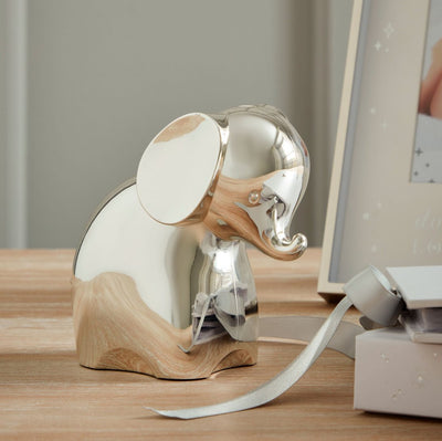Silver Plated Elephant Money Box - Just Blue Or Pink