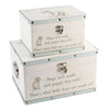 Slugs and Snails Storage Boxes - Blue