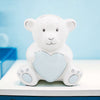 White Bear with Blue Heart Money Box - Just Blue or Pink