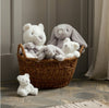 White Plush Teddy Bear - Just Blue or Pink