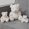 White Plush Teddy Bear - Just Blue or Pink